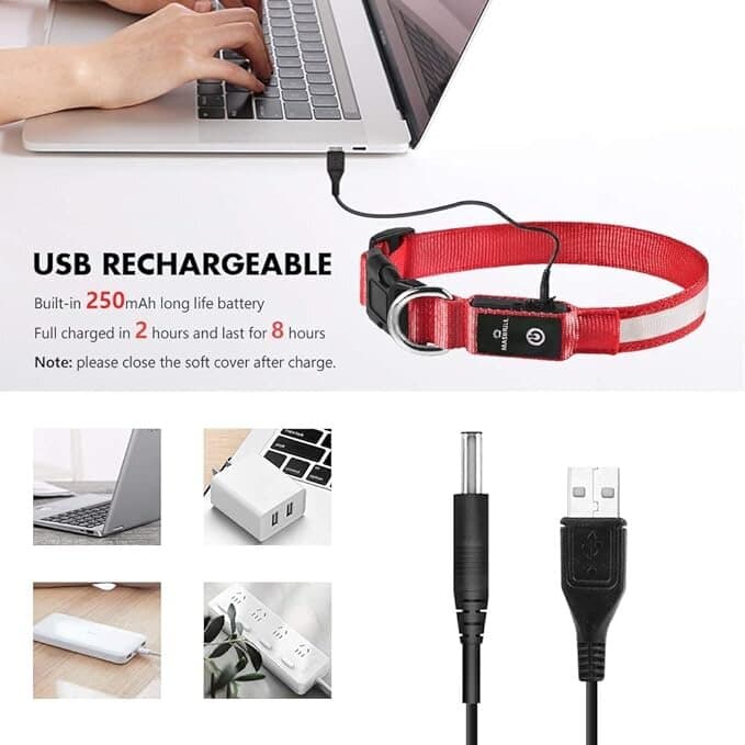 MASBRILL LED Collar - L 4
