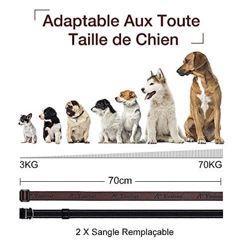Anti Bark Collar 4