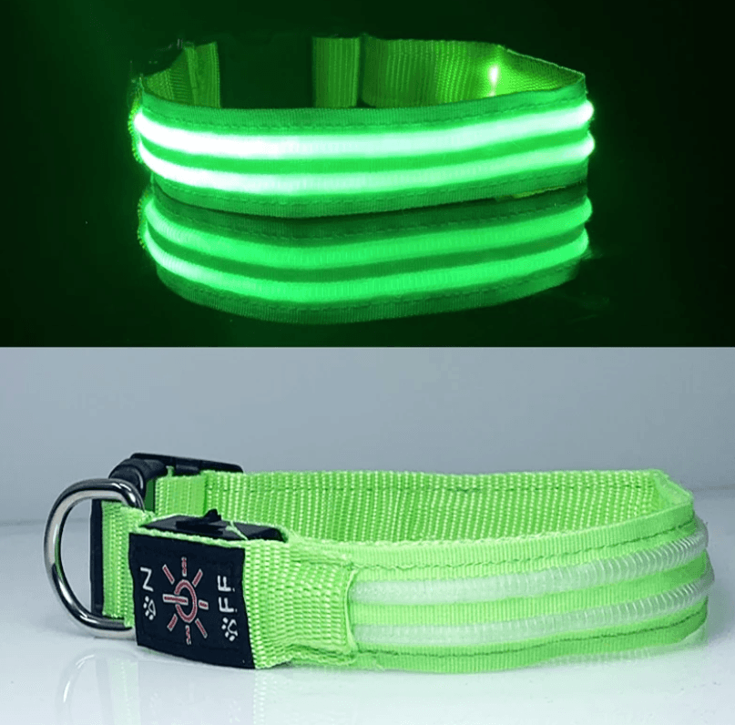LED Collar 2