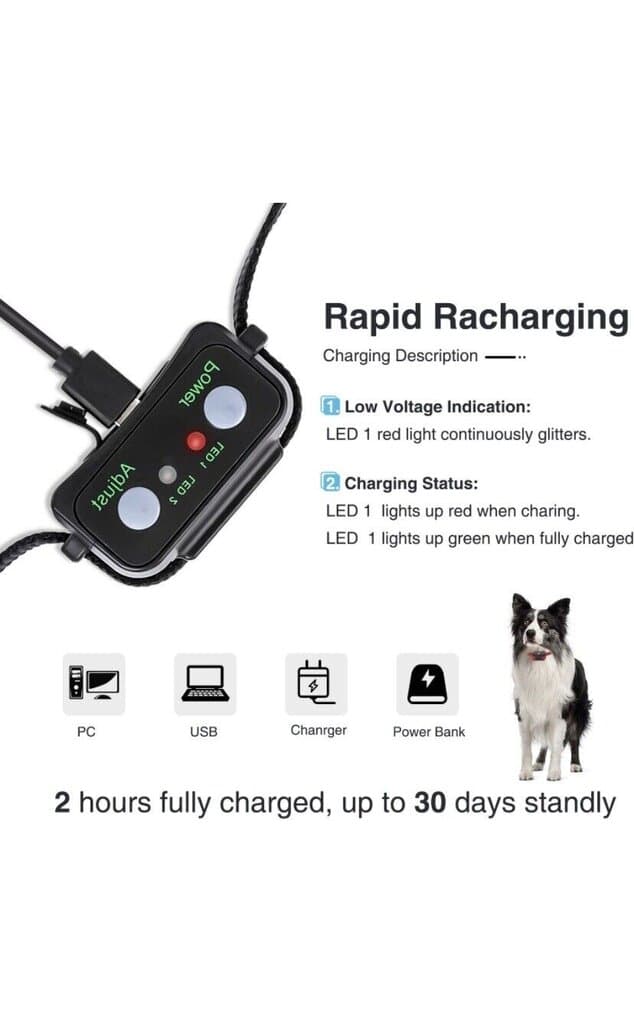 Anti Barking Collar 4