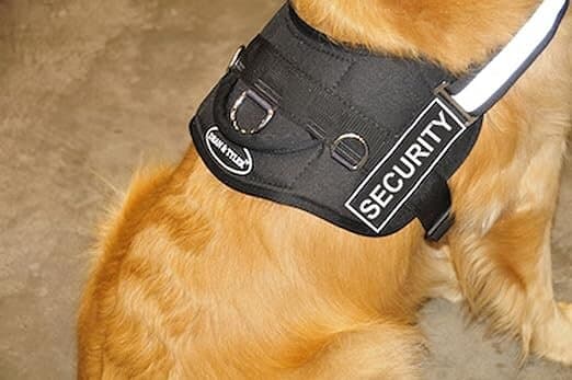 Dog Harness - L 3