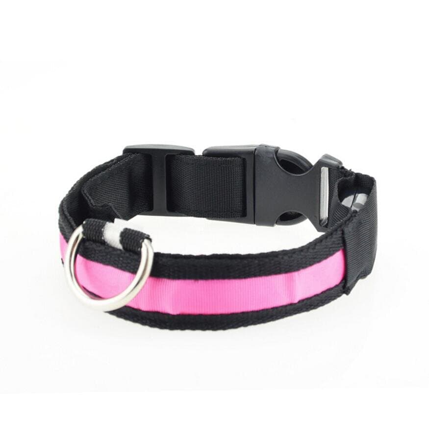 LED Dog Leash - S