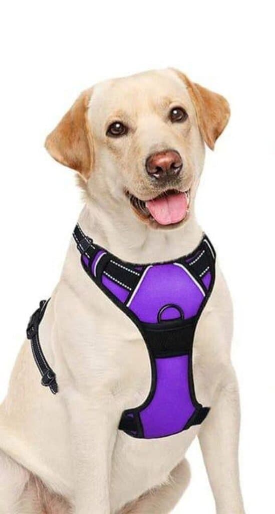 Dog Harness - S