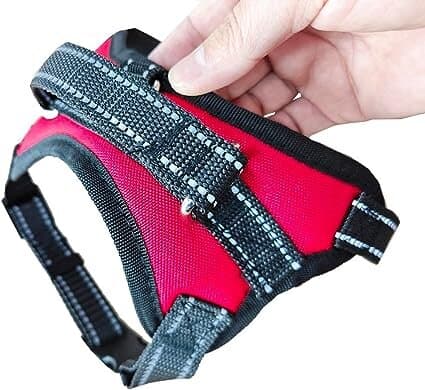 Dog Harness - XS 2