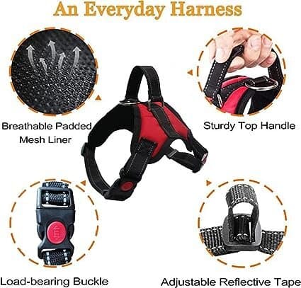 Dog Harness - XS 3