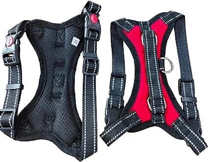 Dog Harness - XS 5