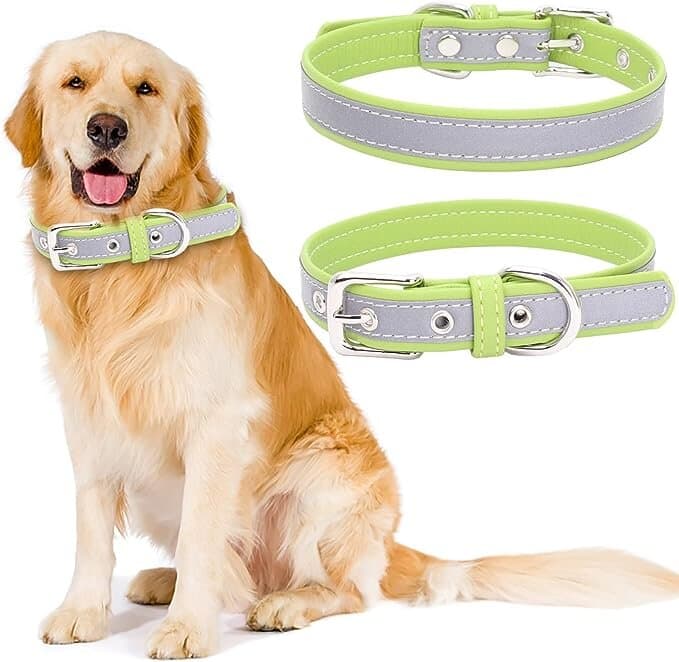Collar - L 3
