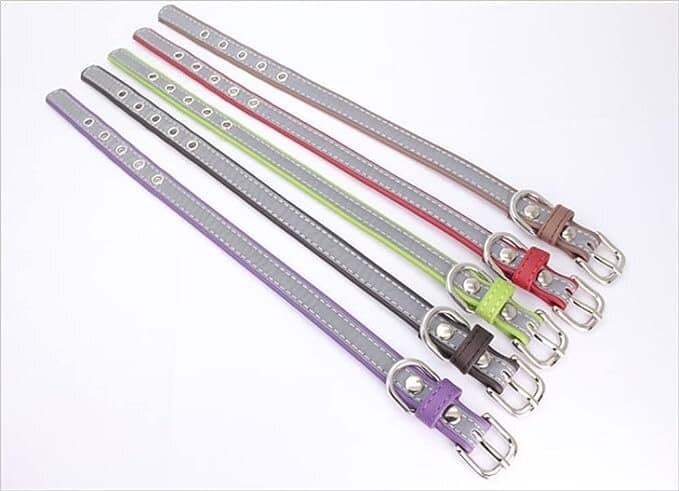 Collar - L 2