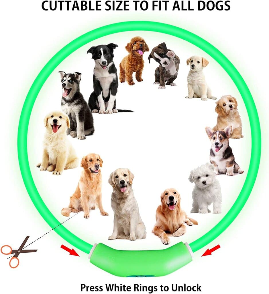 Light Up Dog Collars 5