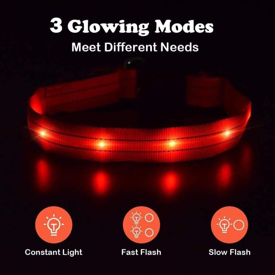 PUMAILA LED Collar - S 3