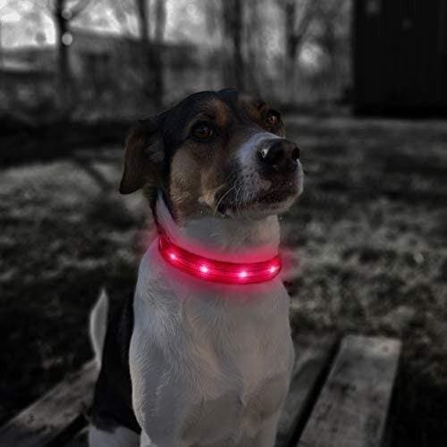 PUMAILA LED Collar - S 5