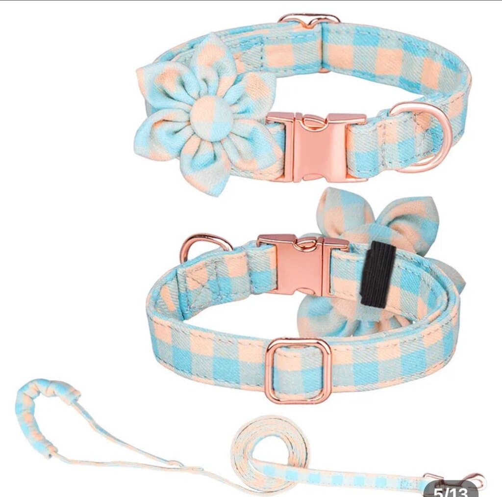 Dog Collar