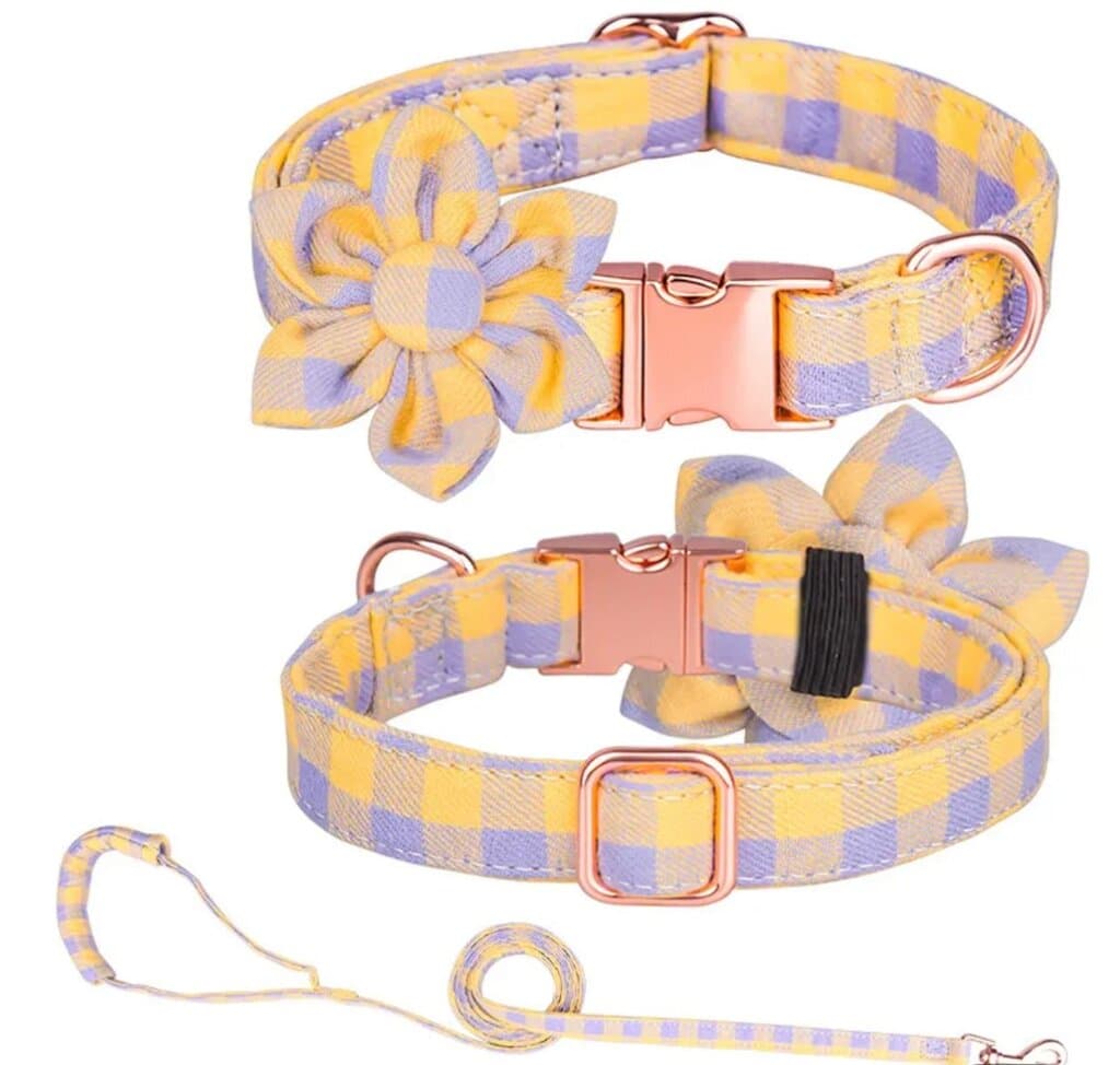 Dog Collar