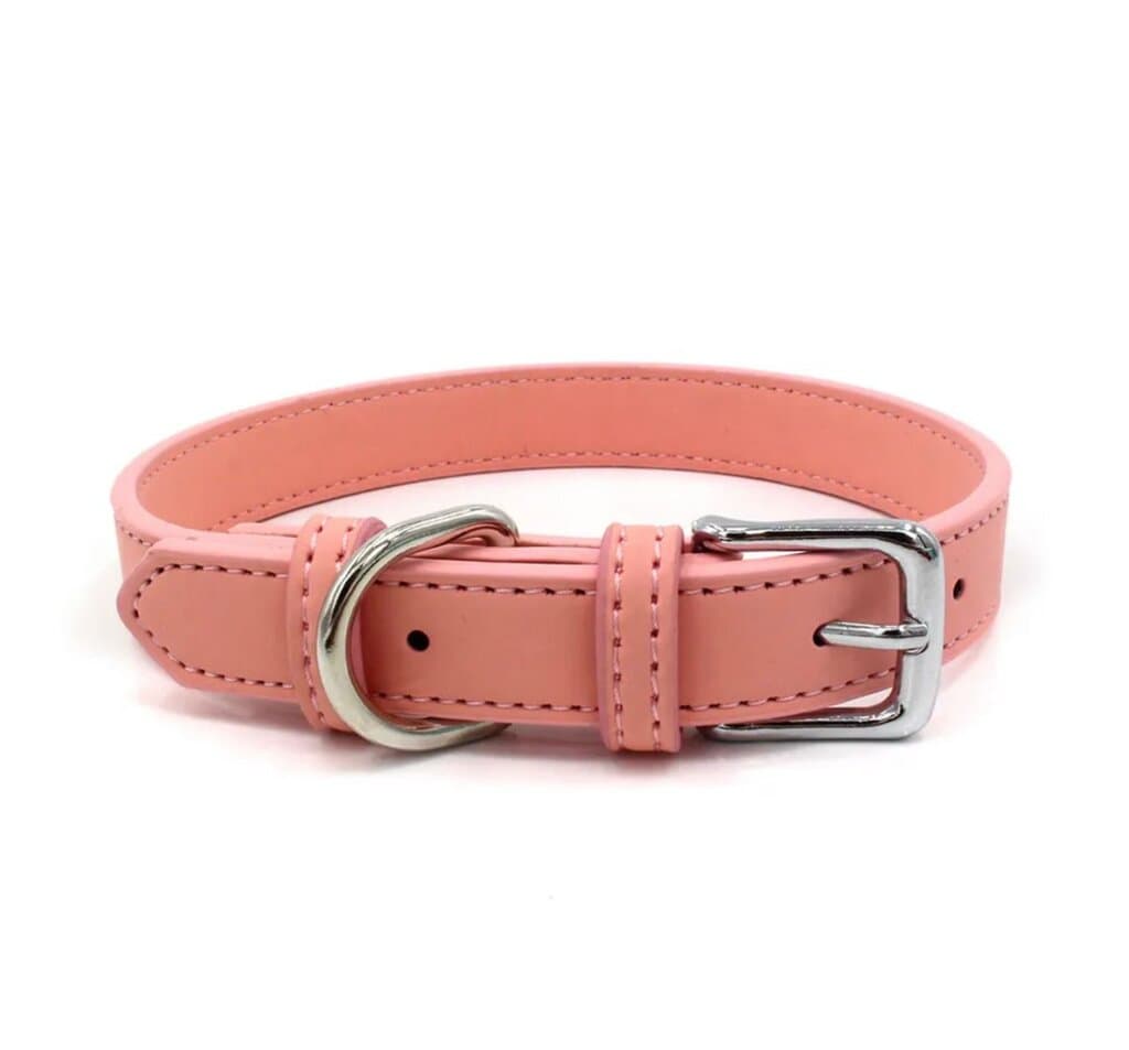 Dog Collar - M