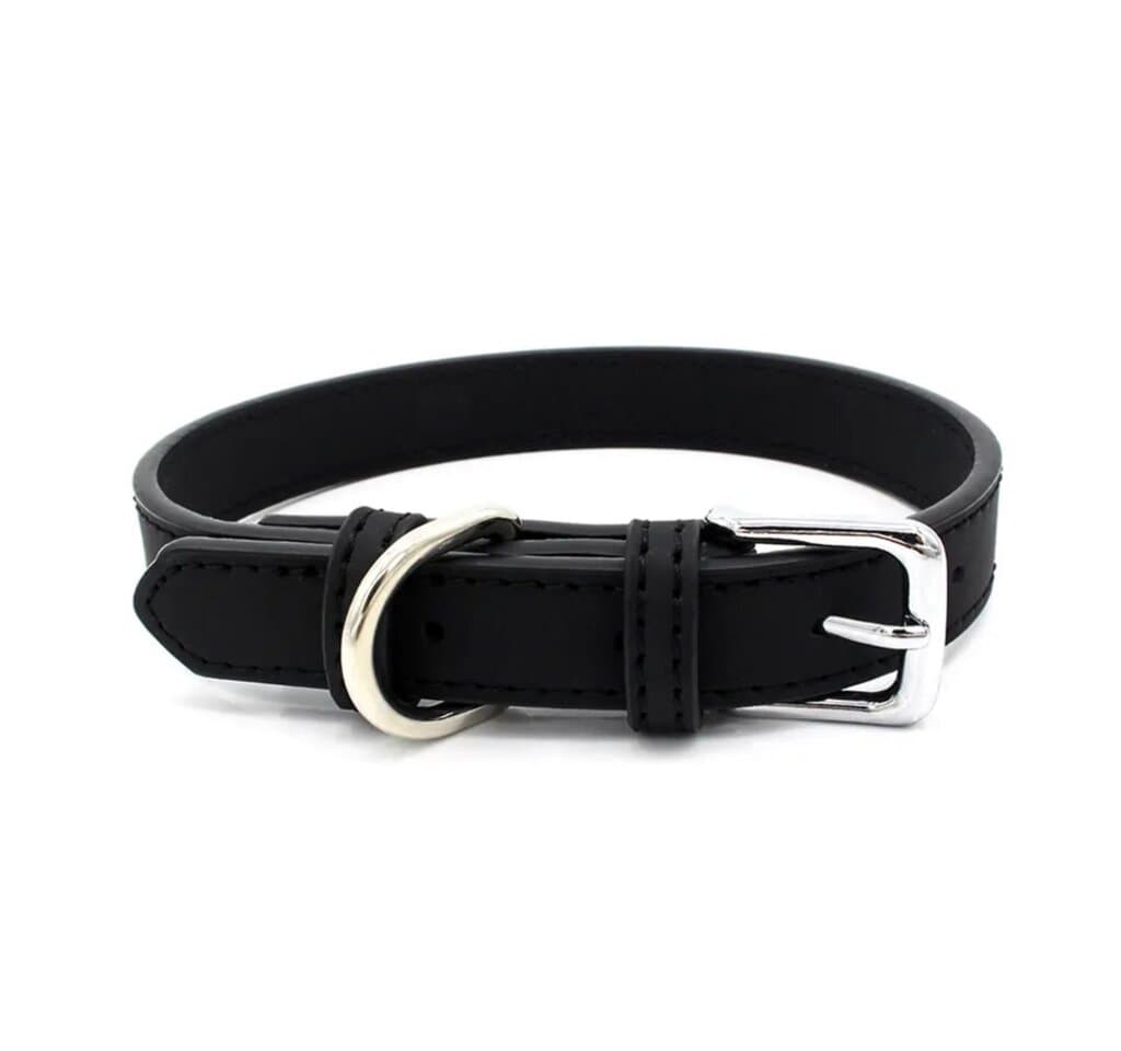 Dog Collar - M