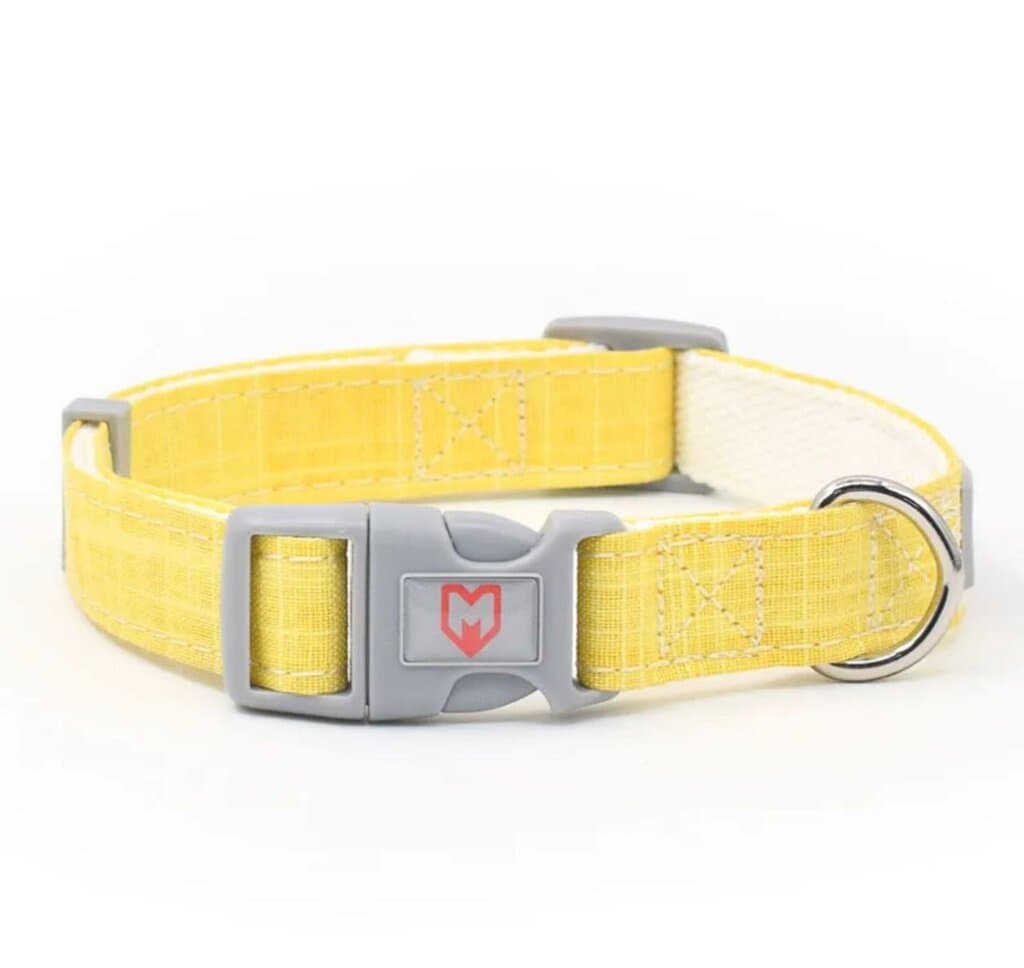 Dog Collar - L