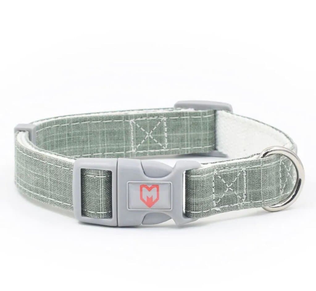Dog Collar - S