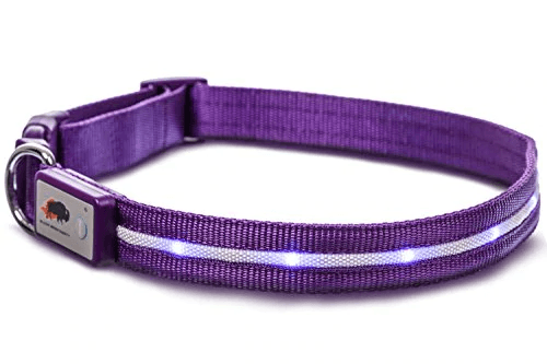 Safety LED Dog Leash