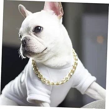 Chain Collar - L 5