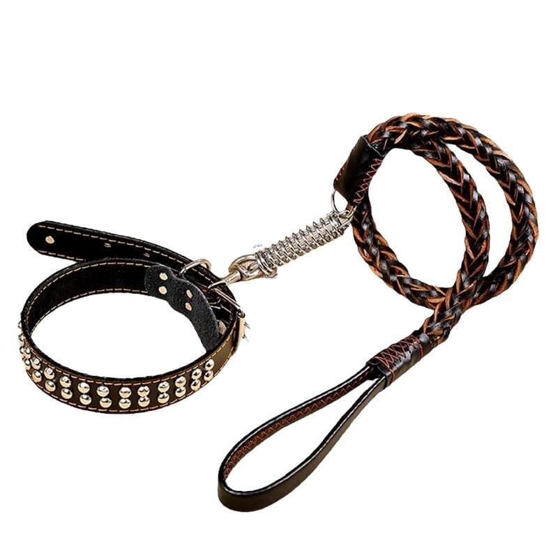 Leash & Collar - L