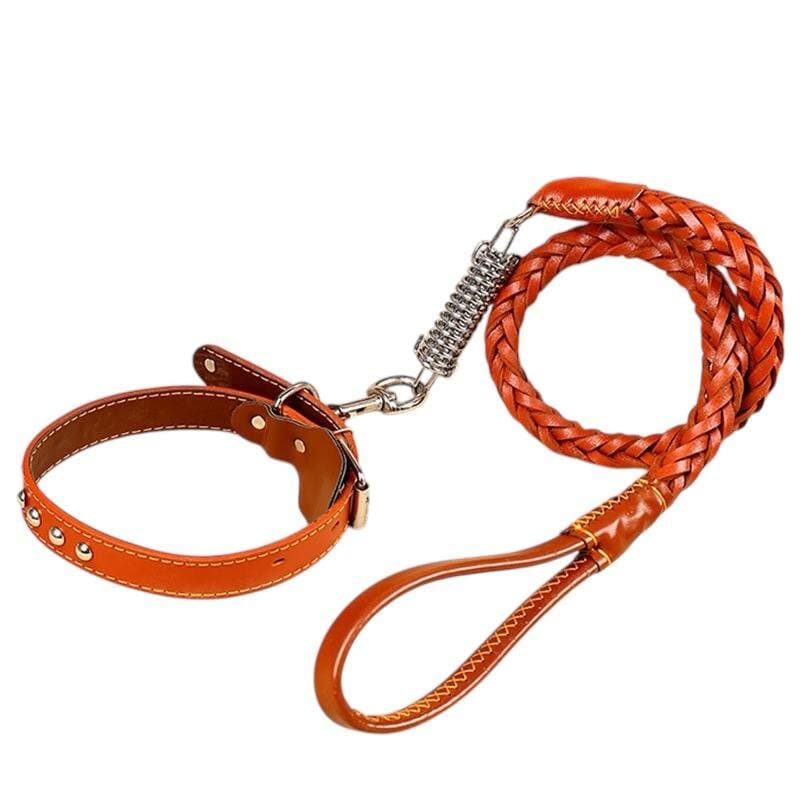Leash & Collar - L