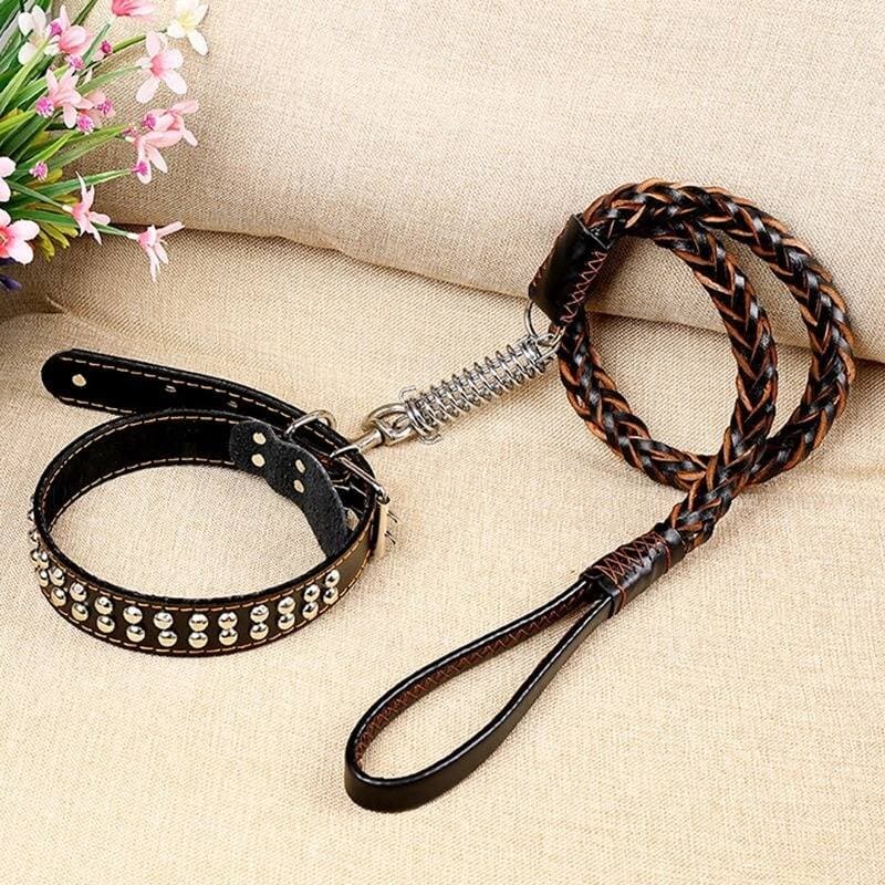 Leash & Collar - M 3