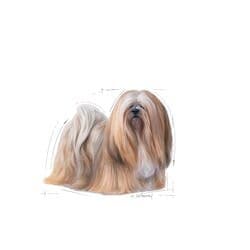 Royal Canin Mini Exigent - 3Kg 2