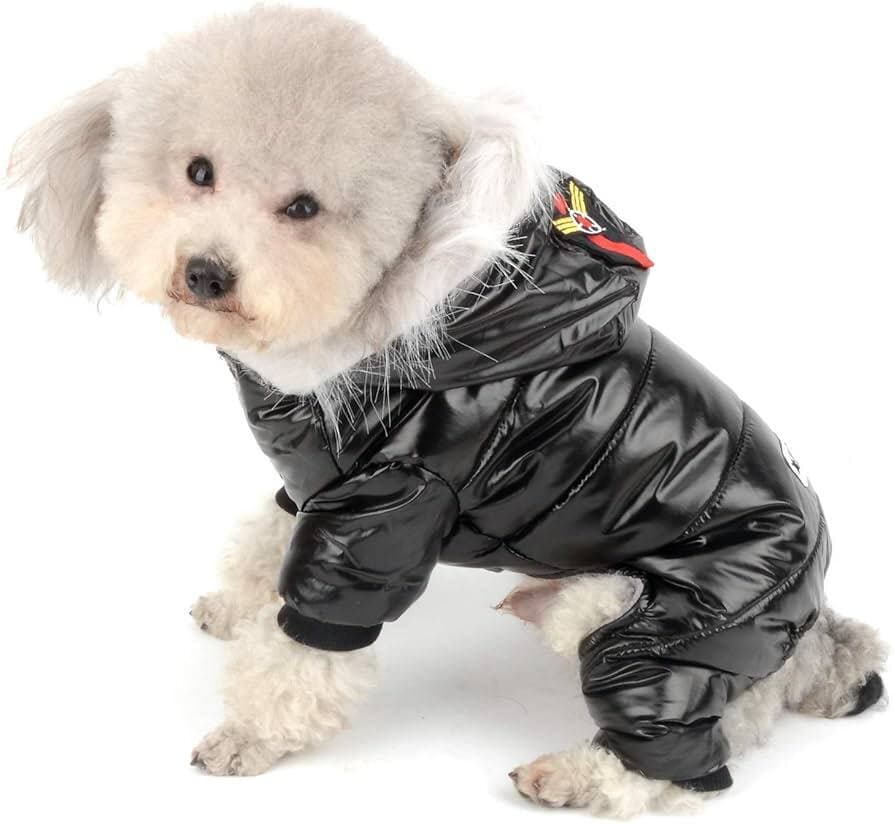 Dog Clothes - S 2