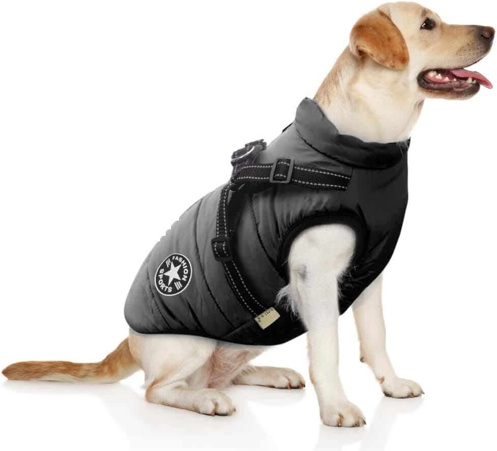 Dog Jacket - M