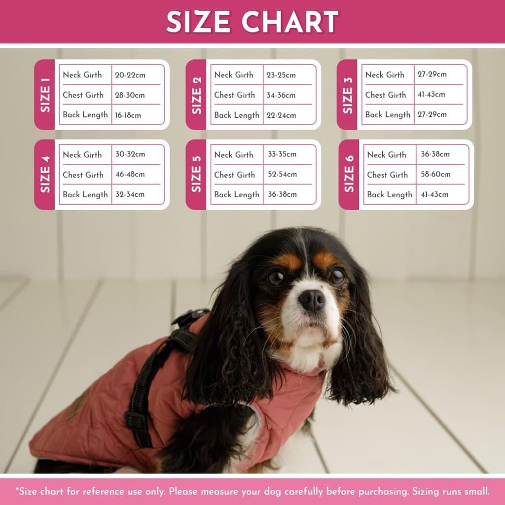 Dog Warm Clothes - XL 2