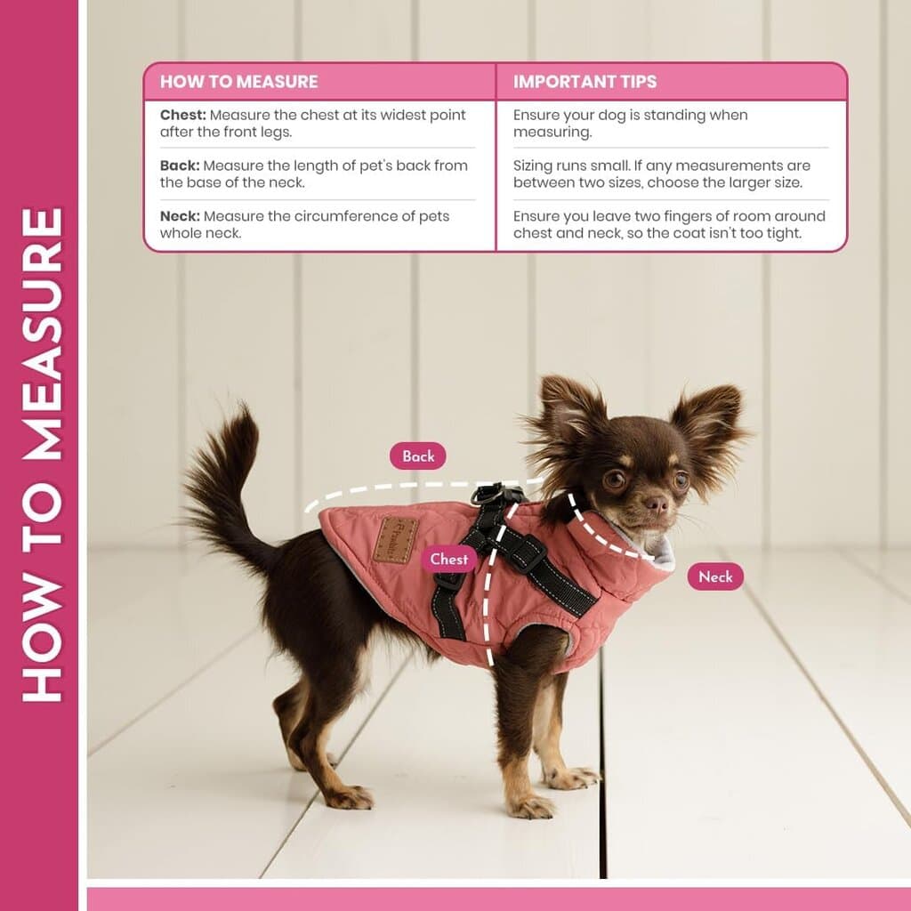 Dog Warm Clothes - XL 3