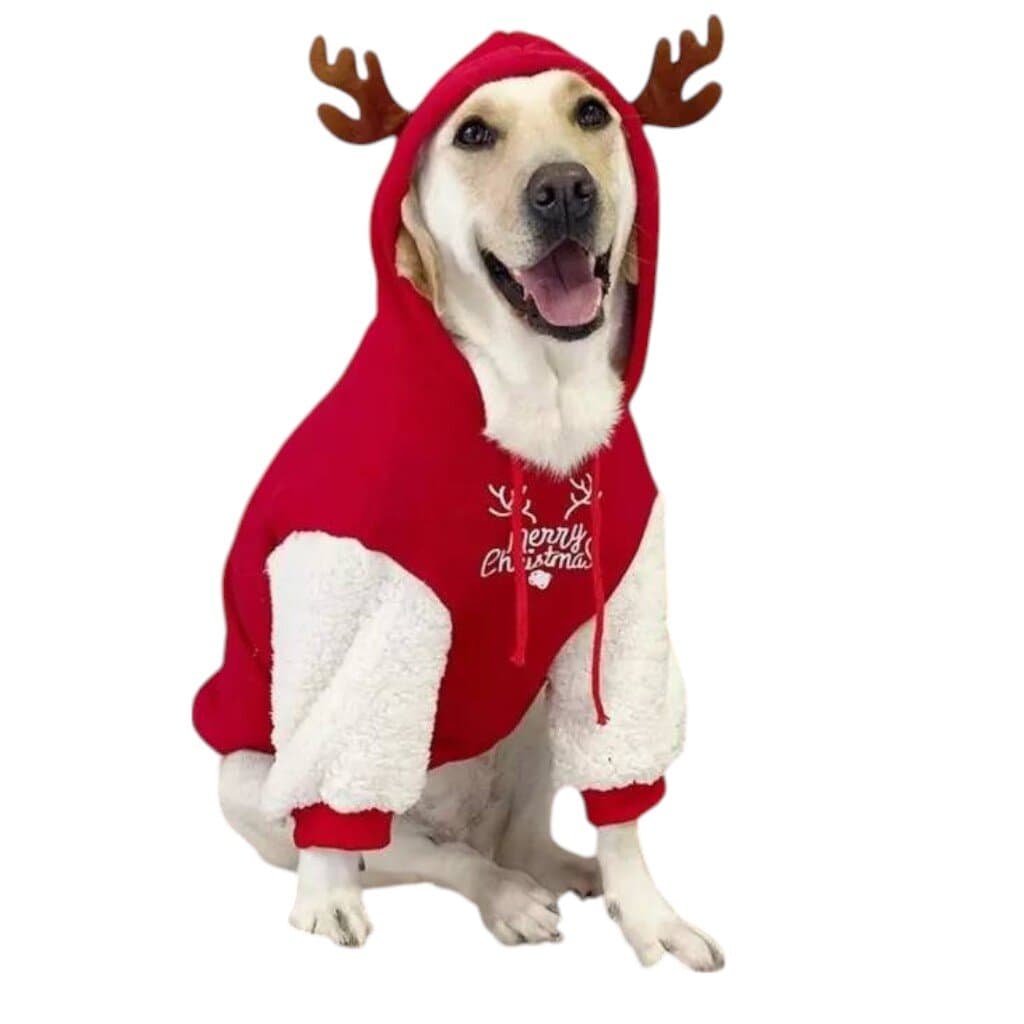 Christmas Dog Clothes - L