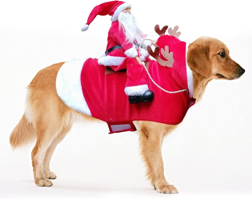 Christmas Dog Clothes - L 2