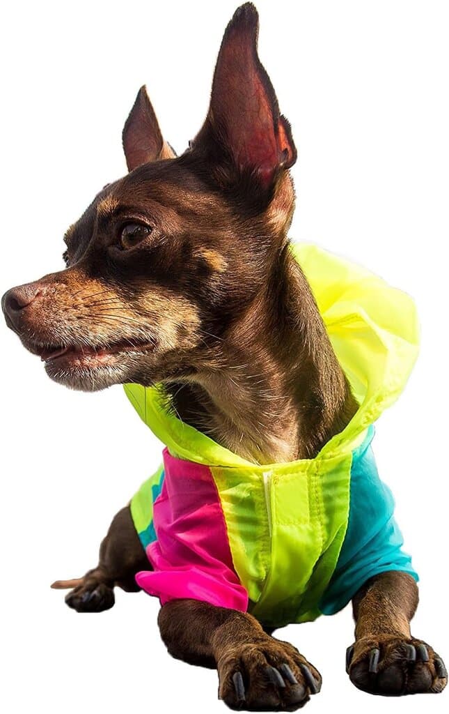 PETLESO Colorful Clothes - S 3