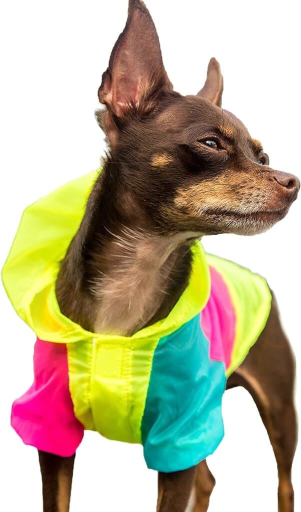PETLESO Colorful Clothes - S 4