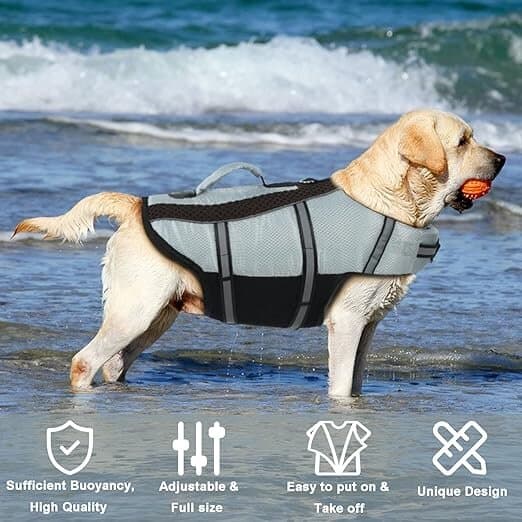 Vanansa Dog Life Jacket 2
