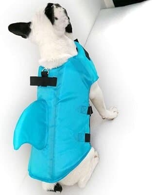Dog Life Jackets - S