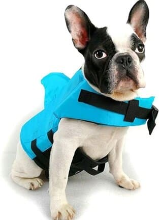 Dog Life Jackets - S 2