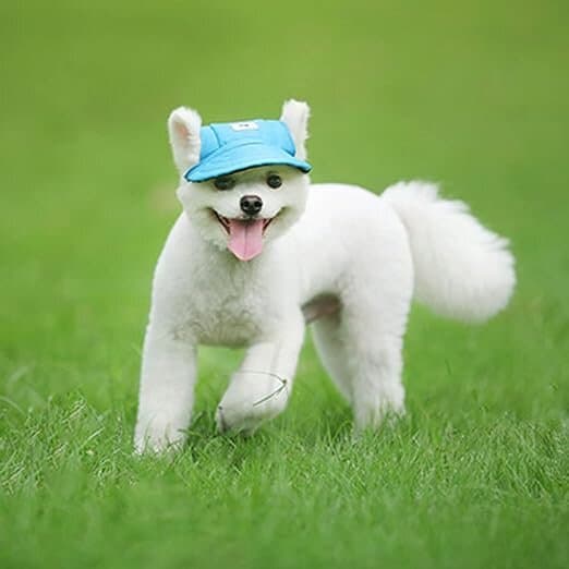 Hat - M 3