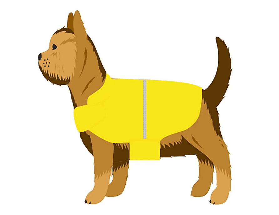 Pet Jacket - L 3
