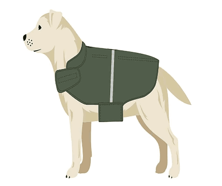 Pet Jacket - S 4