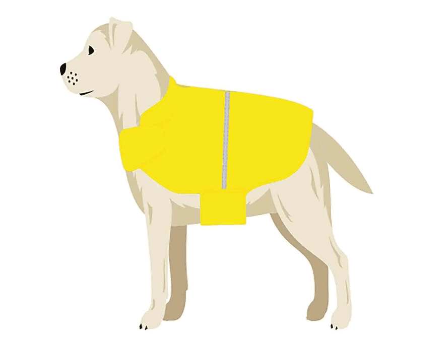Pet Jacket - S 4