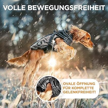 TIERHOOD - Waterproof Dog Raincoat - M 5