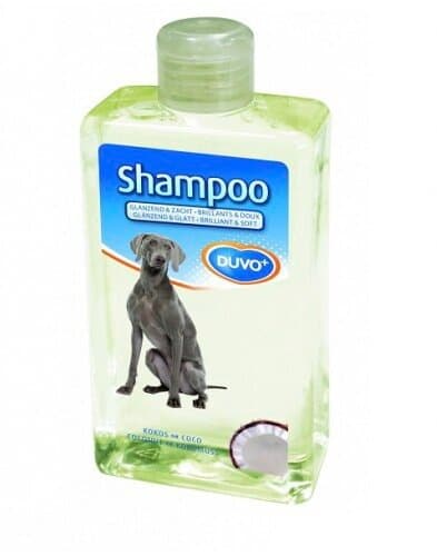 Duvo coconut shampoo - 250ml