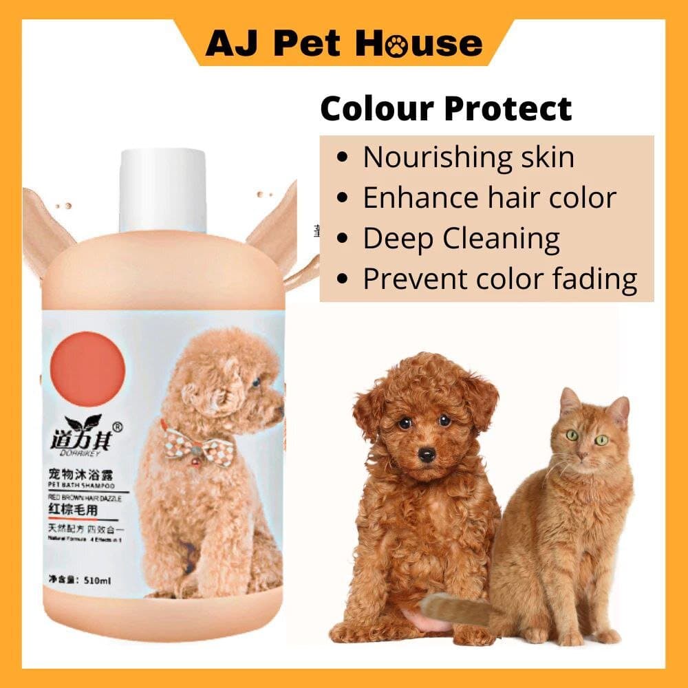 DORRIKEY Color Protect Shampoo - 510ml 2
