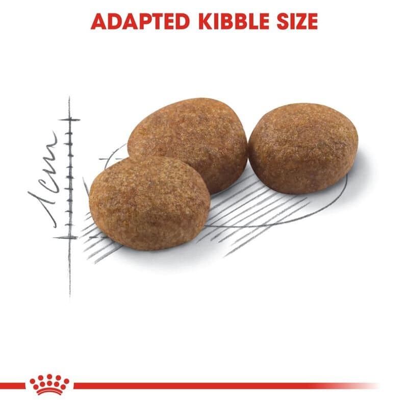 Royal canin Sterilised - 400g 2