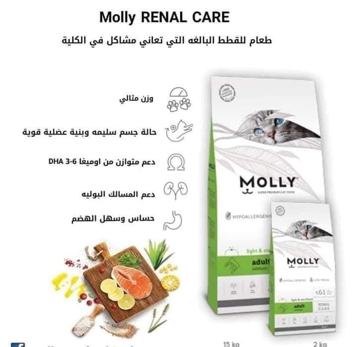 Molly Adult Light Sterilised Salmon - 15kg 2
