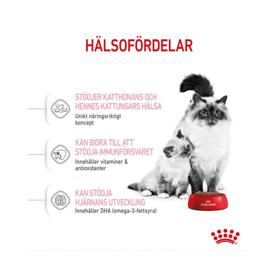 Royal Canin Mother & Babycat - 400g 2