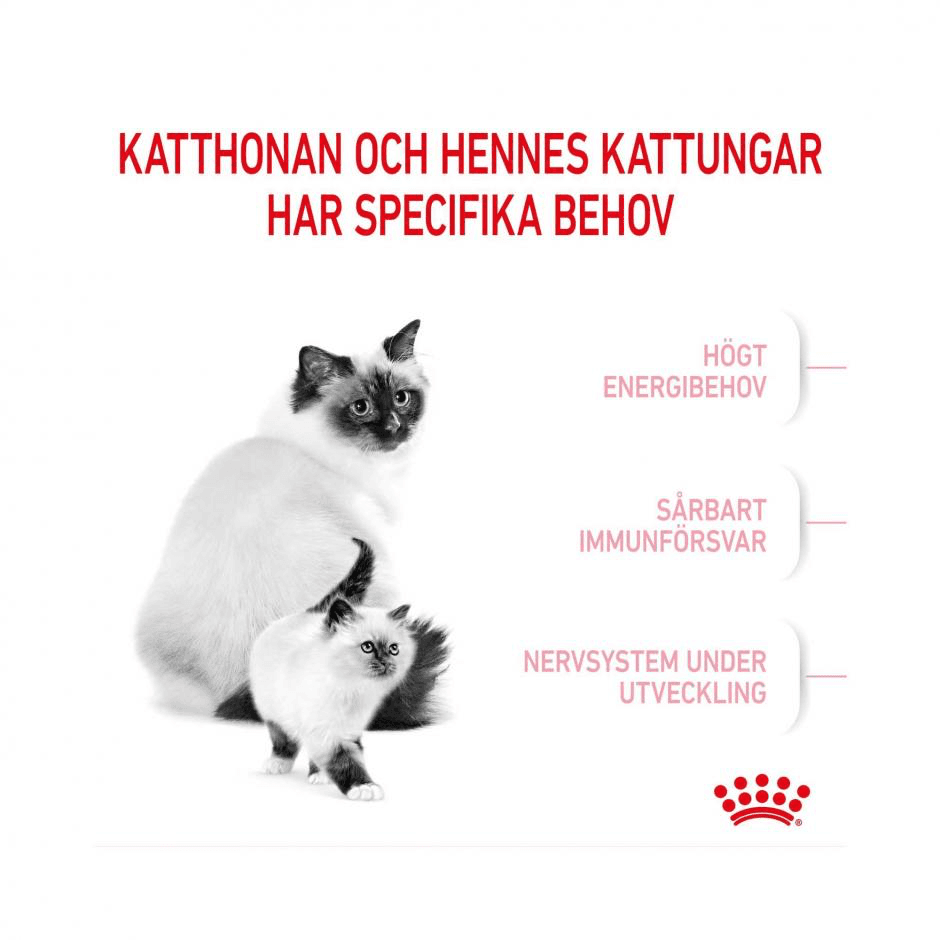 Royal Canin Mother & Babycat - 400g 3