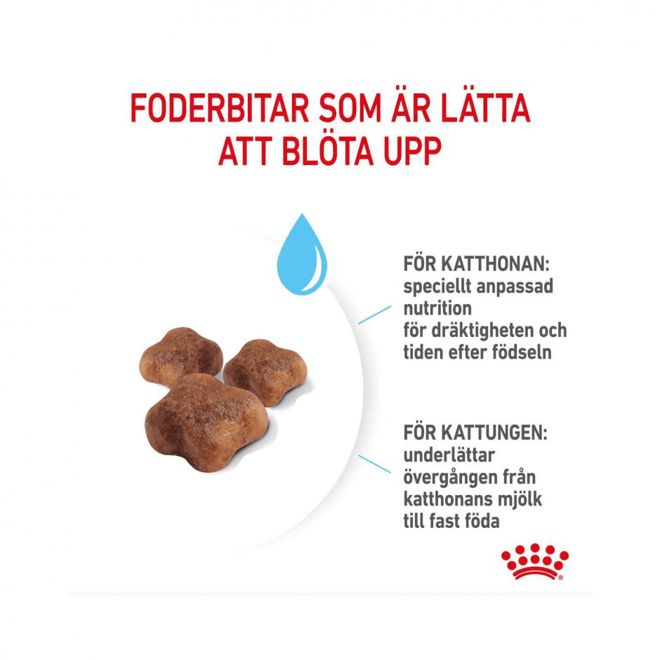 Royal Canin Mother & Babycat - 400g 4